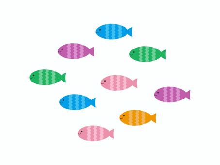 Illustration, fish, swim, colorful, 