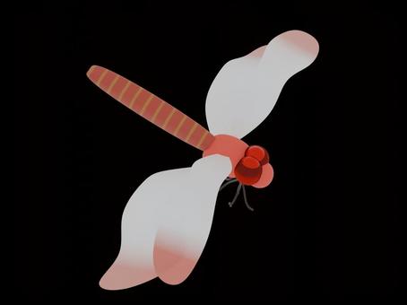 Illustration, libellule rouge, automne, insectes, 