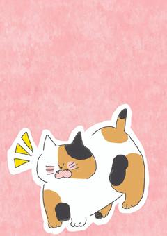 鳴く三毛猫ちゃん 鳴く三毛猫ちゃん かわいい,鳴く,呼ぶ,不満,不服,文句,不機嫌,ねこ,三毛猫,どうぶつのイラスト素材