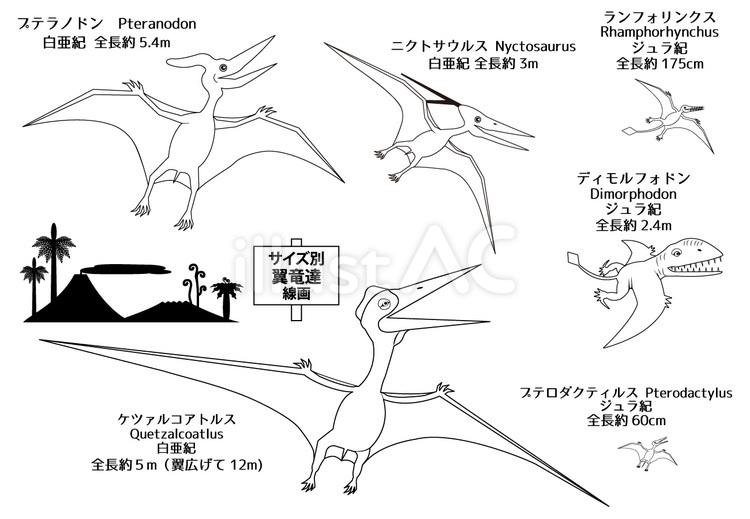 空を飛ぶ恐竜たち　サイズ別　線画 恐竜,白亜紀,ジュラ紀のイラスト素材