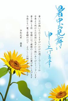 暑中お見舞い　向日葵　2019　令和元年 暑中見舞い,ひまわり,令和,元年,2019年,サンフラワー,グリーティングカード,ポストカード,ビジネス,取引先のイラスト素材