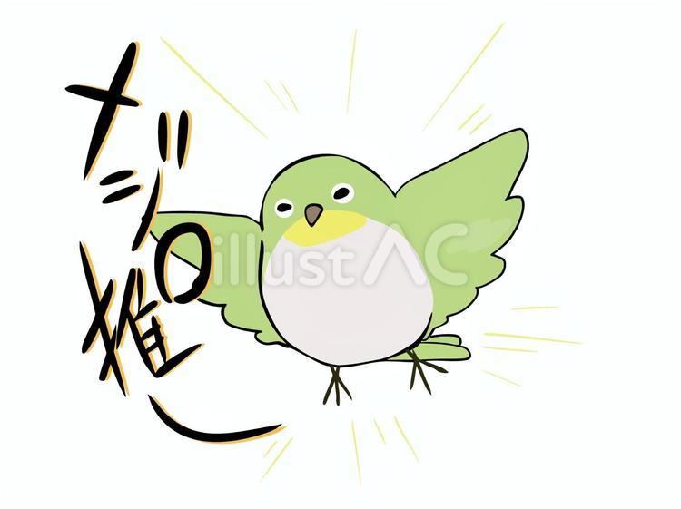 めじろおし メジロ,鳥,野鳥のイラスト素材