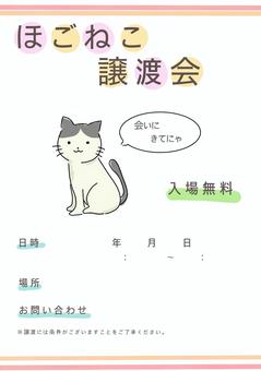 ほごねこ譲渡会チラシ　A4 迷子猫,保護猫,里親,張り紙,チラシ,テンプレート,募集,かわいい,シンプルのイラスト素材