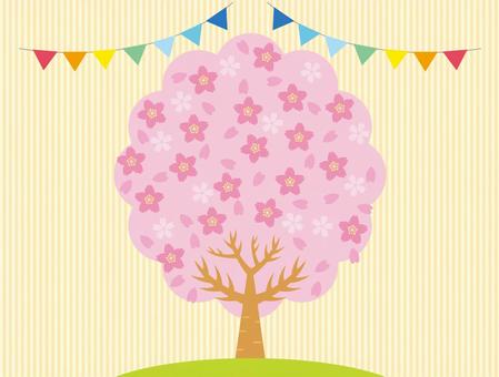 Cherry Blossoms, JPG and EPS Cherry Blossoms, ต้นเชอร์รี่, ดอกไม้, เนื้อไม้, JPG and EPS