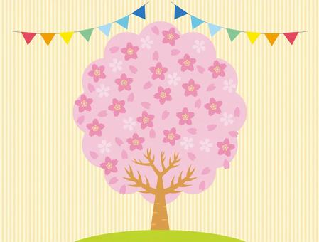 Cherry Blossoms, kirschbaum, blumen, holz, JPG and EPS