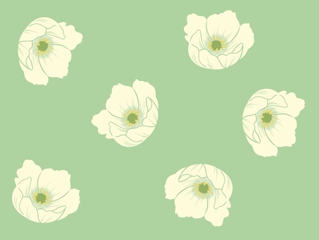 白いアネモネとグリーンの背景 アネモネ,anemone,かわいい,シンプル,手描き,花,春,植物,背景,白色のイラスト素材