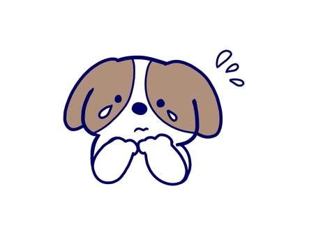 泣き顔のキャバリア犬 泣き顔のキャバリア犬 犬,キャバリア犬,泣き顔,悲しい,涙,小型犬,中型犬,保護犬,家庭犬,汗のイラスト素材