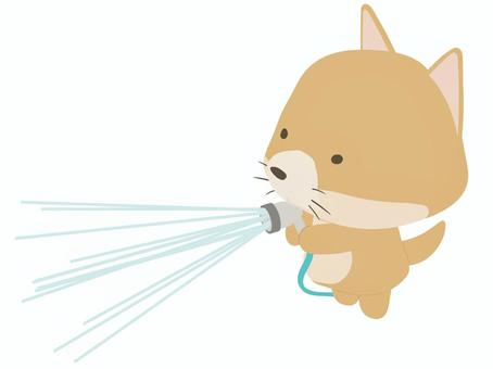 水撒きをする茶色い犬 水撒き,犬,動物,かわいい,散水,ホース,水,打ち水のイラスト素材