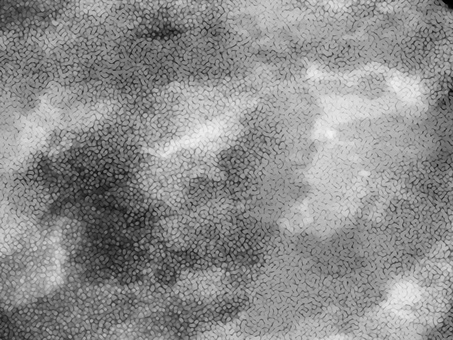 水彩グランジテクスチャ 水彩,テクスチャ,テクスチャー,白黒,モノクロ,にじみ,質感,背景,背景イメージ,イメージのイラスト素材