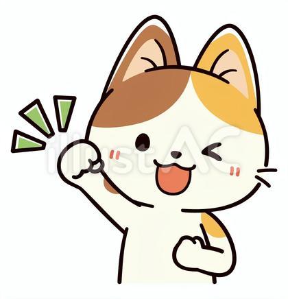 元気ににガッツポーズをする可愛い三毛猫