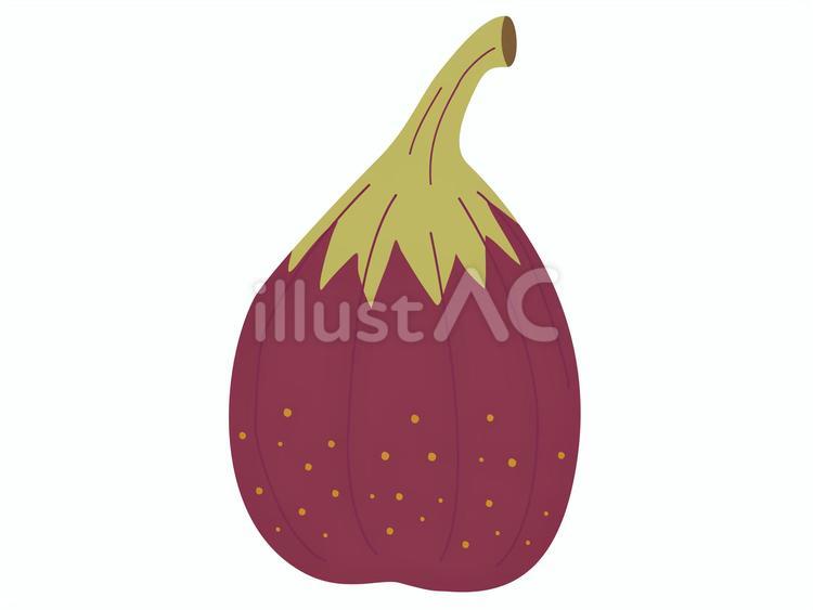 いちじく いちじく,丸ごと,皮付きのイラスト素材