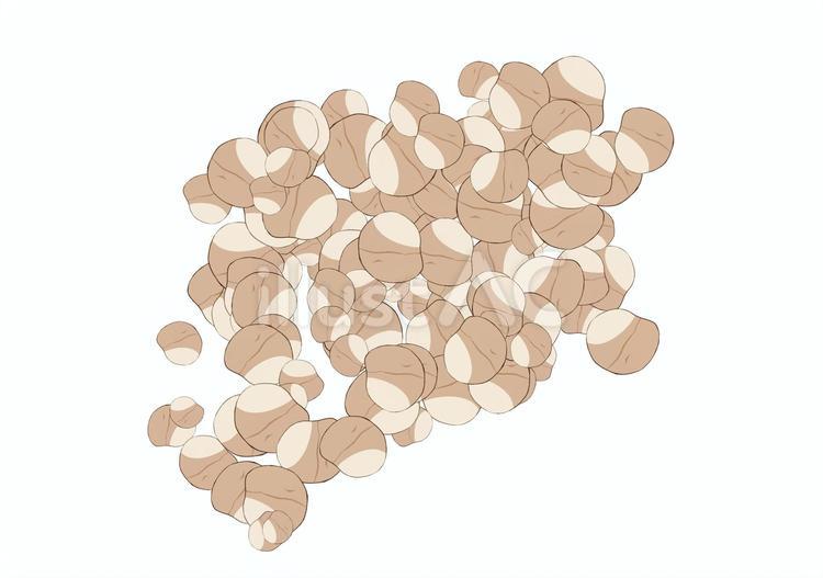 節分の豆 節分,豆,風物詩のイラスト素材