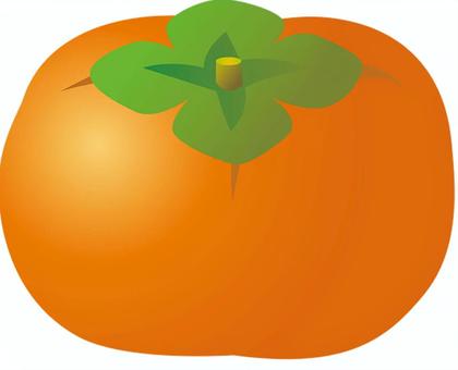 果物_柿 柿,果物,農園,畑,農家,農業のイラスト素材