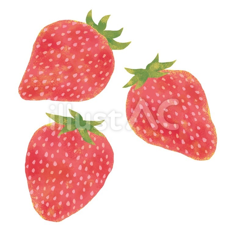 いちご いちご,果物,食べ物のイラスト素材
