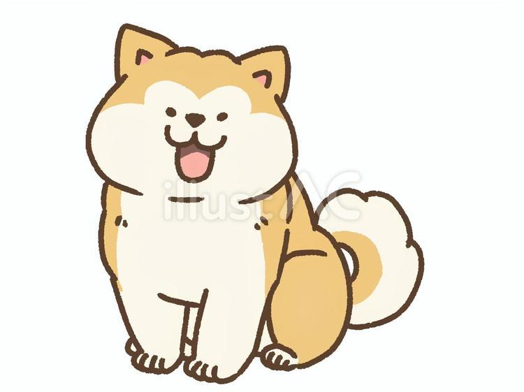 おすわり秋田犬２ 秋田犬,犬,おすわりのイラスト素材