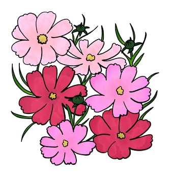 コスモスのイラスト 花,フラワー,秋桜,コスモス,秋の花,ピンクの花,赤い花,花畑,花束,花のイラストのイラスト素材