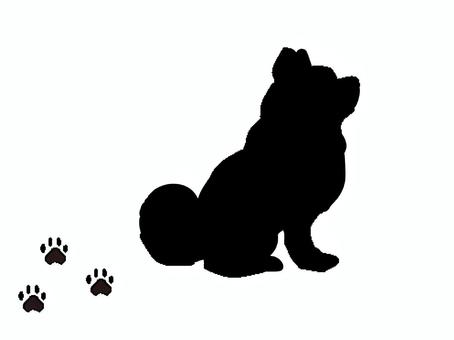 Illustration, crow, stray dog, protected dog, 