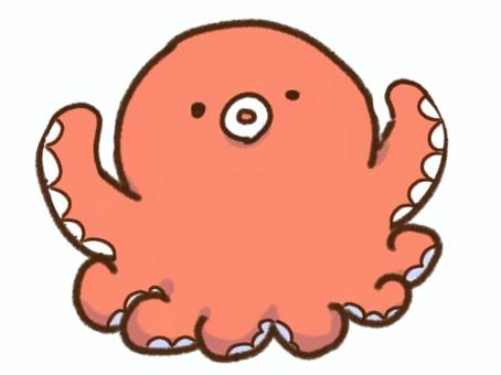 ゆるいタコ ゆるいタコ タコ,生き物,海,たこ,たこ焼きのイラスト素材