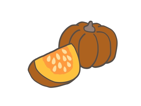 オレンジのかぼちゃ かぼちゃ,オレンジ色,黄土色,カット,野菜,根菜,冬至,食べ物,食料,ハロウィンのイラスト素材