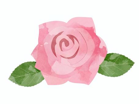 ピンクのバラ（水彩風）４ バラ,水彩風,ピンク,淡い,紫みの,赤,薔薇,綺麗,花,葉のイラスト素材