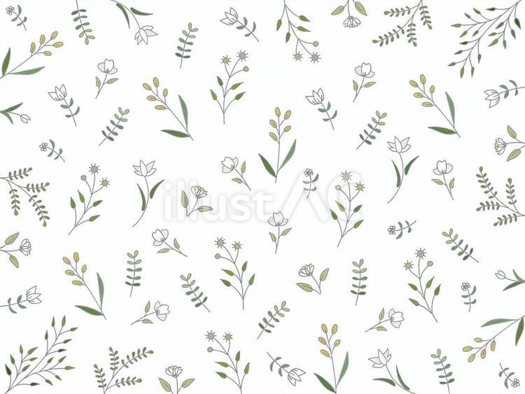 おしゃれ背景　手描き　かわいい　花柄　草 おしゃれ,背景,手描きのイラスト素材