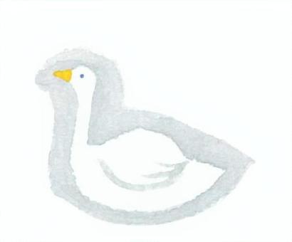 白鳥 水彩,動物,手描き,鳥,白鳥のイラスト素材
