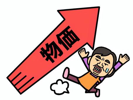 物価上昇 物価上昇,値上げ,家計圧迫,人物,女性,お母さん,イラストのイラスト素材
