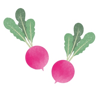 ナチュラル手描き　ラディッシュ ラディッシュ,二十日大根,野菜,食材,食べ物,家庭料理,手描き,ゆるい,かわいい,ナチュラルのイラスト素材