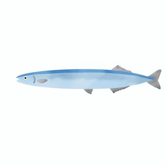 水彩風　手描き　秋刀魚 さんま,秋刀魚,魚,鮮魚,青魚,秋,秋の味覚,焼き魚,生鮮食品,食材のイラスト素材