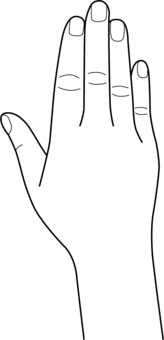 手 64, JPG, PNG 和 AI 手 64, , JPG, PNG 和 AI