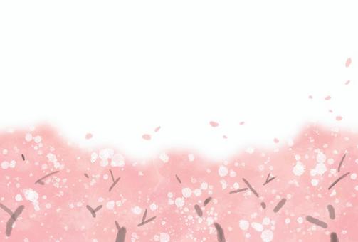 Illustration, cherry blossoms, full bloom, spring, 