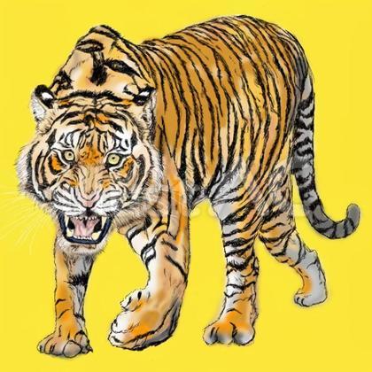 虎 イラスト
