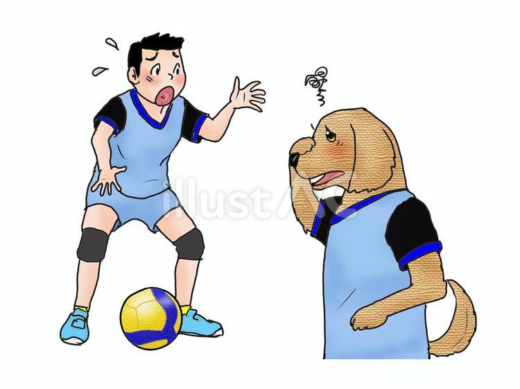お前セッターだろ、たのむよぉ～ 動物,犬,セッターのイラスト素材
