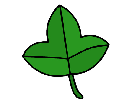 葉 葉,植物,器官,維管束,光合成,イラストのイラスト素材