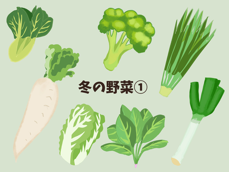 冬の旬な野菜の手描きイラスト 野菜,旬,大根,白菜,ブロッコリー,ほうれん草,小松菜,食卓,食材,料理のイラスト素材