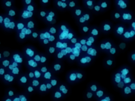 パーティクル背景　透過あり 背景,キラキラ,玉ボケ,パーティクル,エフェクト,デコレーション,光沢,豪華,エネルギー,煌めきのイラスト素材