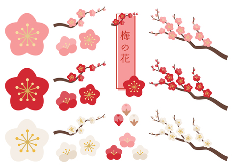 梅の花セット_3色 梅,梅の花,紅梅,セット,白梅,つぼみ,蕾,枝,花,梅の木のイラスト素材