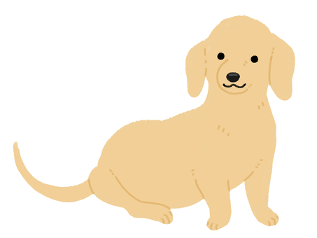 Illustration, dog, a pet, pet shop, 