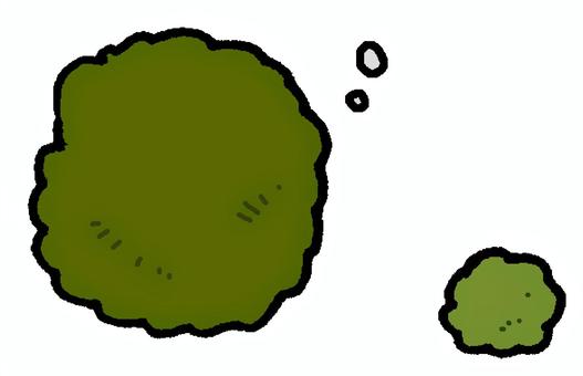 まりも マリモ,藻,緑色,丸,天然記念物,水中,お土産,植物,自然,北海道のイラスト素材