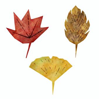 落ち葉　紅葉 秋,落ち葉,紅葉,イチョウ,葉のイラスト素材