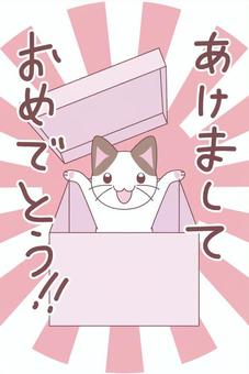（箱を）あけましておめでとう猫さん年賀状