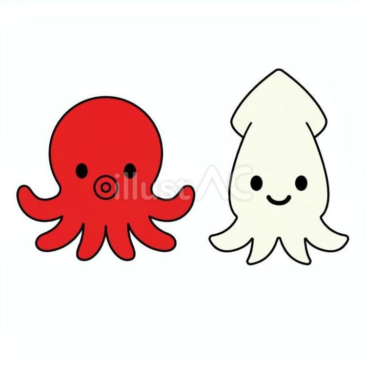 タコとイカ タコ,イカ,生き物のイラスト素材