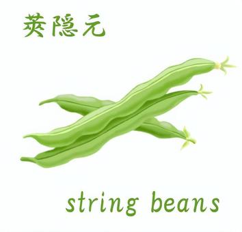 さやいんげんのイラスト