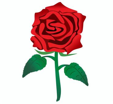 バラのイラスト バラ,クリスマスフラワー,花,ローズ,赤,真紅,植物,長春花,月季花のイラスト素材