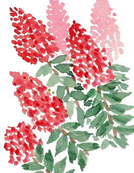 Illustration, yüz gün kırmızı, taç yaprağı, yaprak, 