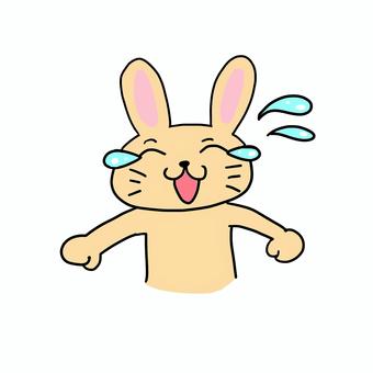 泣き笑いするうさぎ うさぎ,動物,キャラ,ポップ,かわいい,泣き笑い,涙,汗,上半身,泣くのイラスト素材