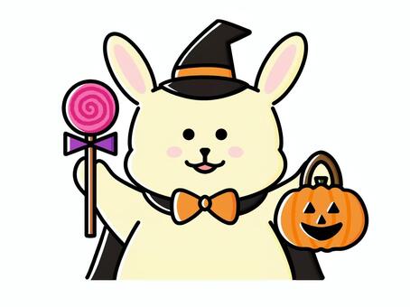 ハロウィン　魔女うさぎとカボチャ ハロウィン,秋,リボン,うさぎ,10月,動物,魔法使い,かぼちゃ,ジャックオーランタン,ハロウィン素材のイラスト素材