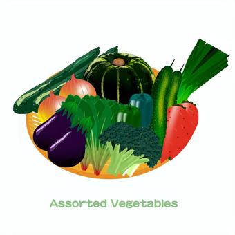 野菜盛り 野菜,盛り,にんじん,玉ねぎ,きゅうり,なす,ゴーヤ,ブロッコリー,カボチャ,青菜のイラスト素材