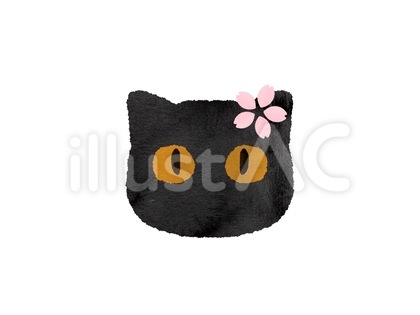 桜の花をつけた黒猫