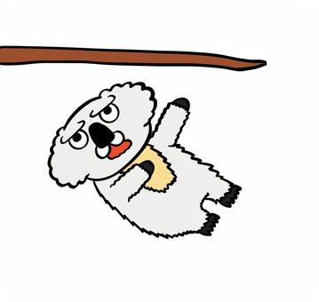 あららー コアラ,かわいい,動物,キャラクター,失敗,落下のイラスト素材
